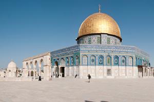 馬薩達機場三字代碼(MTZ)_Masada空