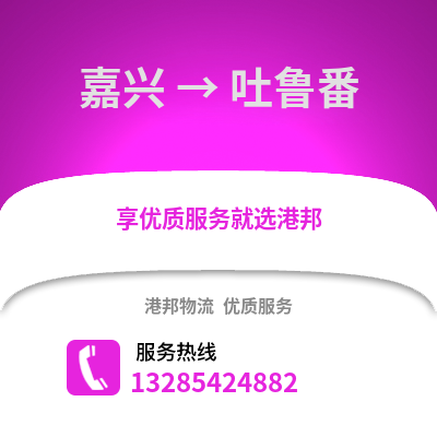 嘉興到吐魯番物流公司,嘉興到吐魯番貨運,嘉興至吐魯番物流專線2