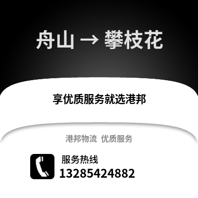 舟山到攀枝花物流公司,舟山到攀枝花貨運,舟山至攀枝花物流專線2